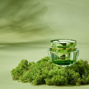 Kem Dưỡng Ban Đêm Forest Night Cream: Phục Hồi Da Rạng Rỡ