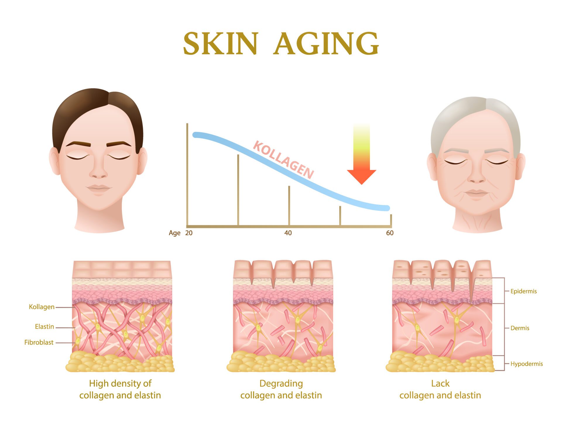 Bộ kem dưỡng nâng cơ chống chảy xệ Phyris See Change