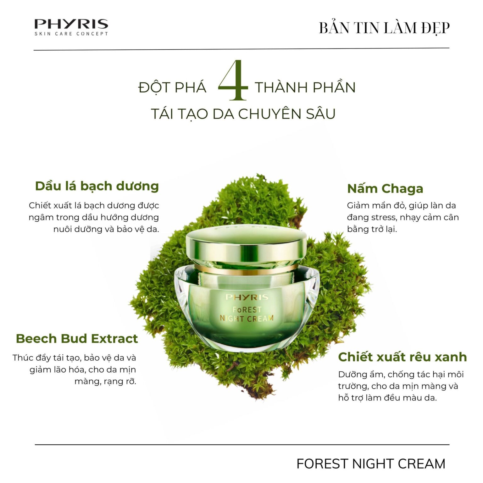 Công dụng phục hồi chuyên sâu của Forest Night Cream