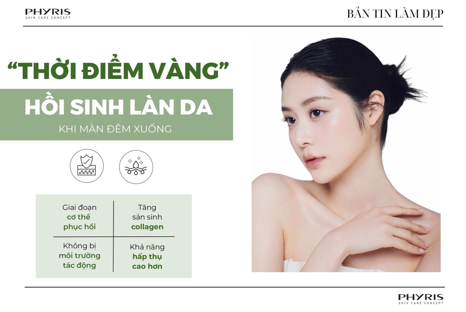 Kem dưỡng ban đêm Forest Night Cream Phyris
