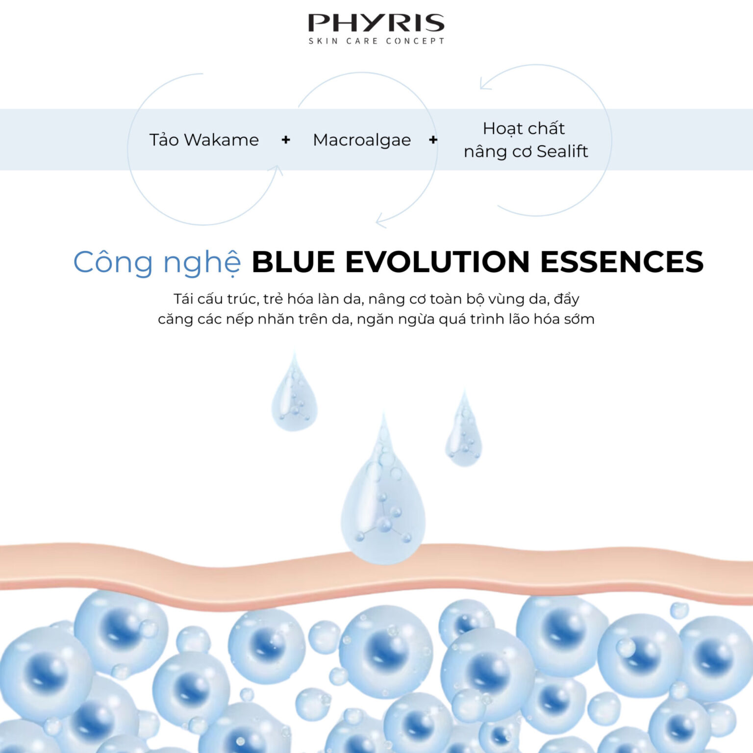 Thành phần collagen thủy phân và đại dương trong Phyris SeeChange